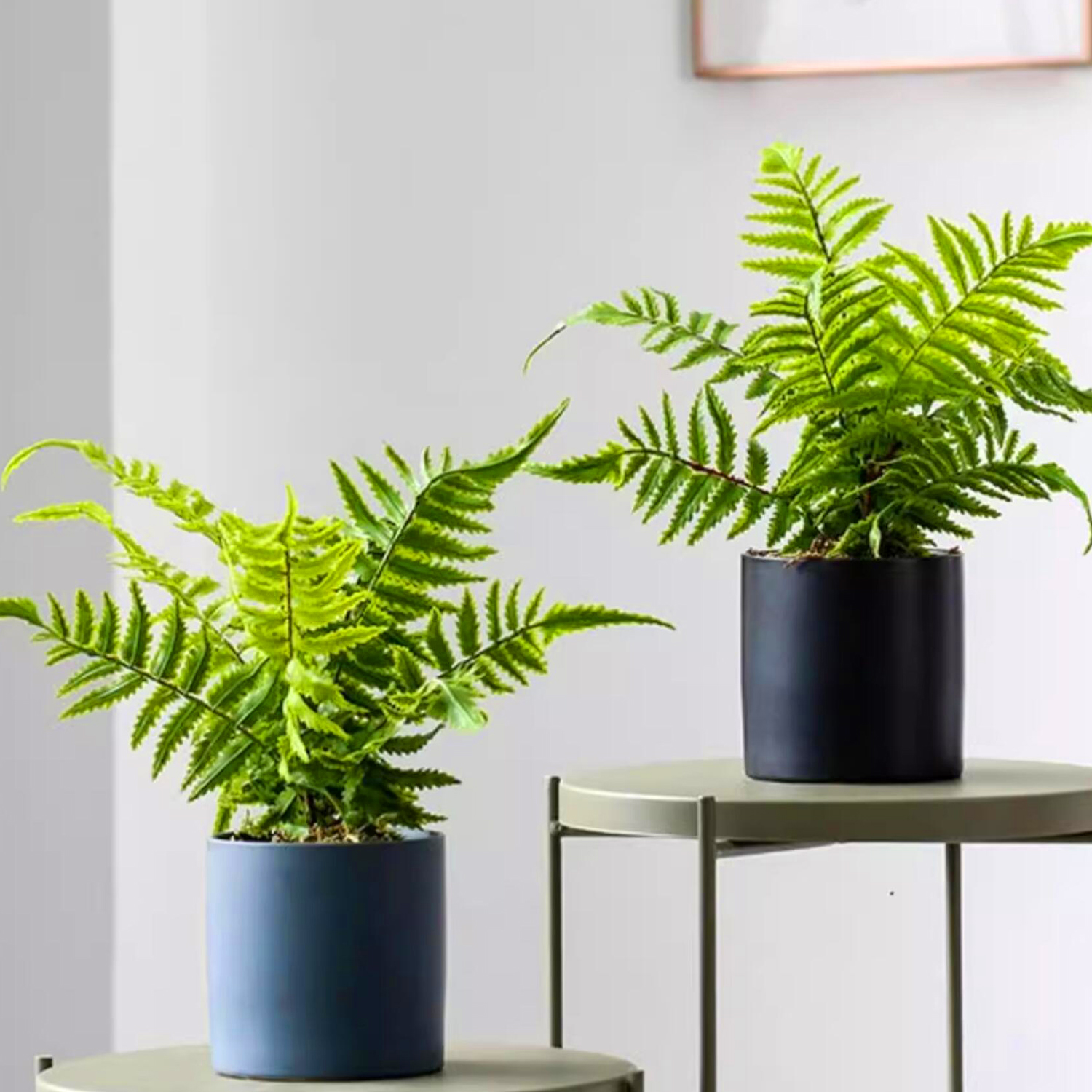 48cm（19in）Artificial fern leav – Home Office Word recenzja i cena