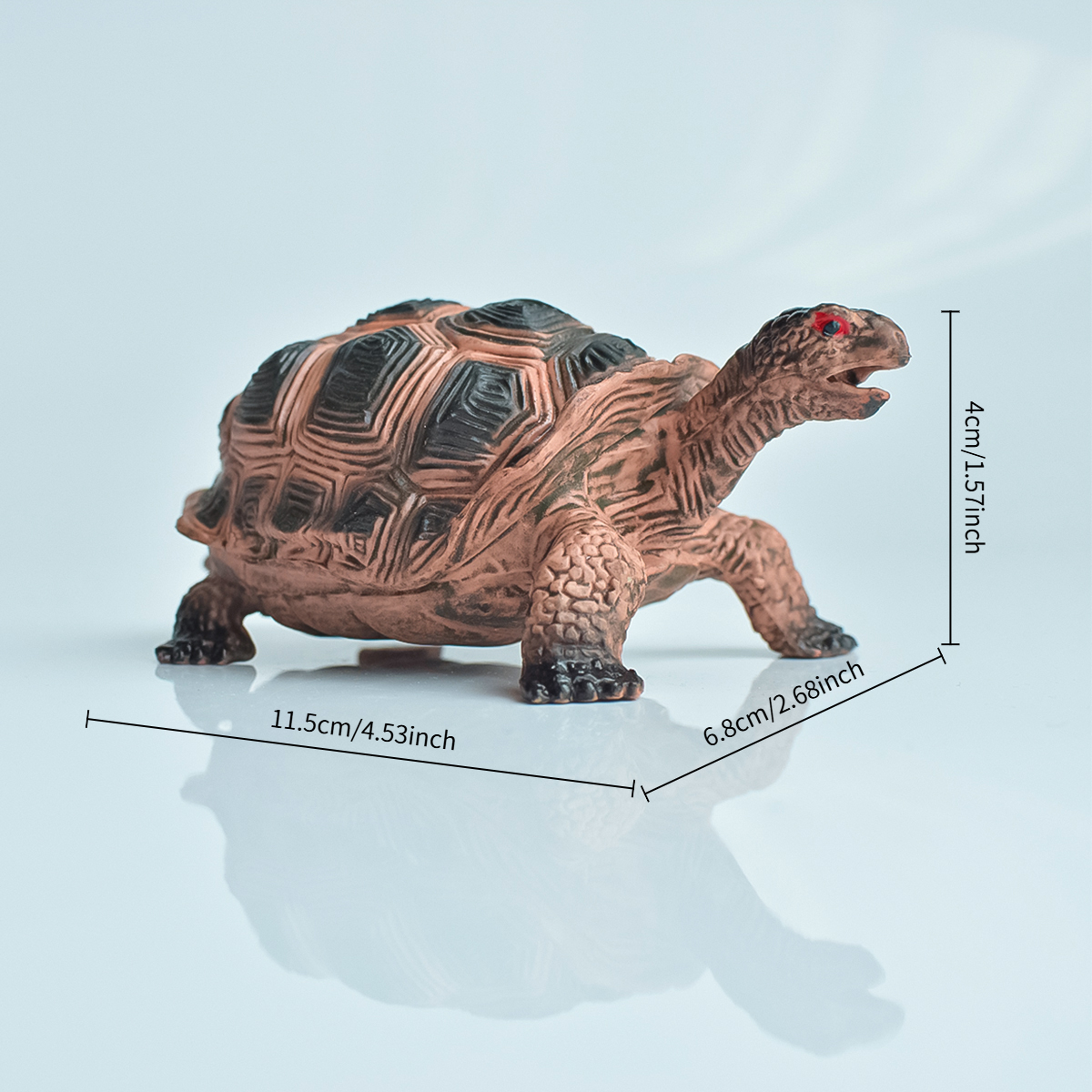 Painted Realistic Animal Turtl – Home Office Word recenzja i cena