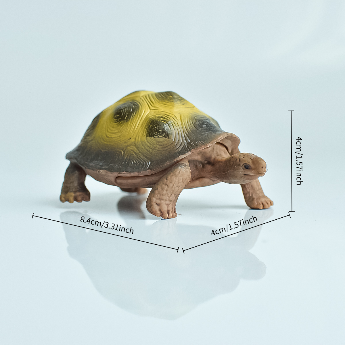 Painted Realistic Animal Turtl – Home Office Word recenzja i cena