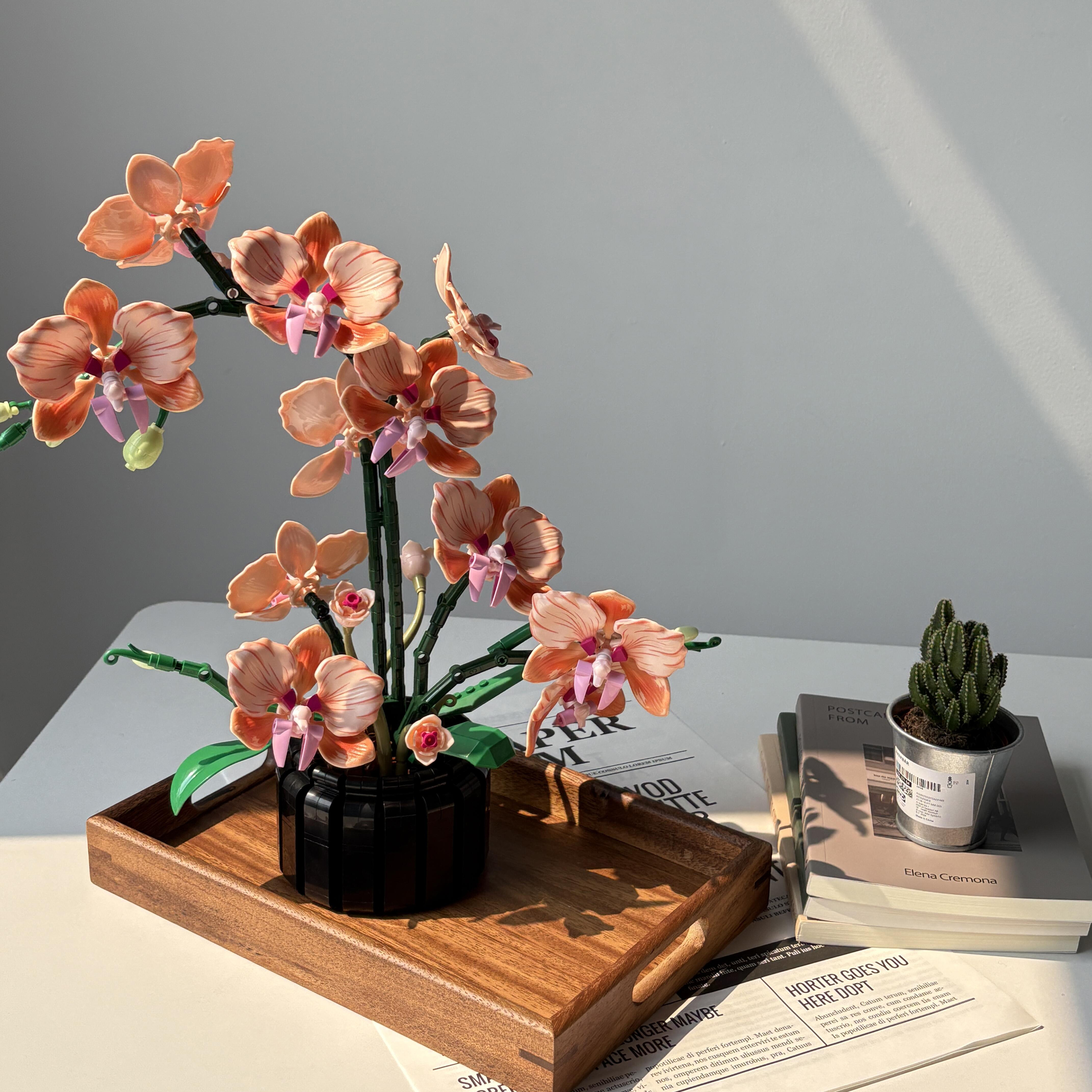 Orange Phalaenopsis Orchid Bui – Home Office Word recenzja i cena