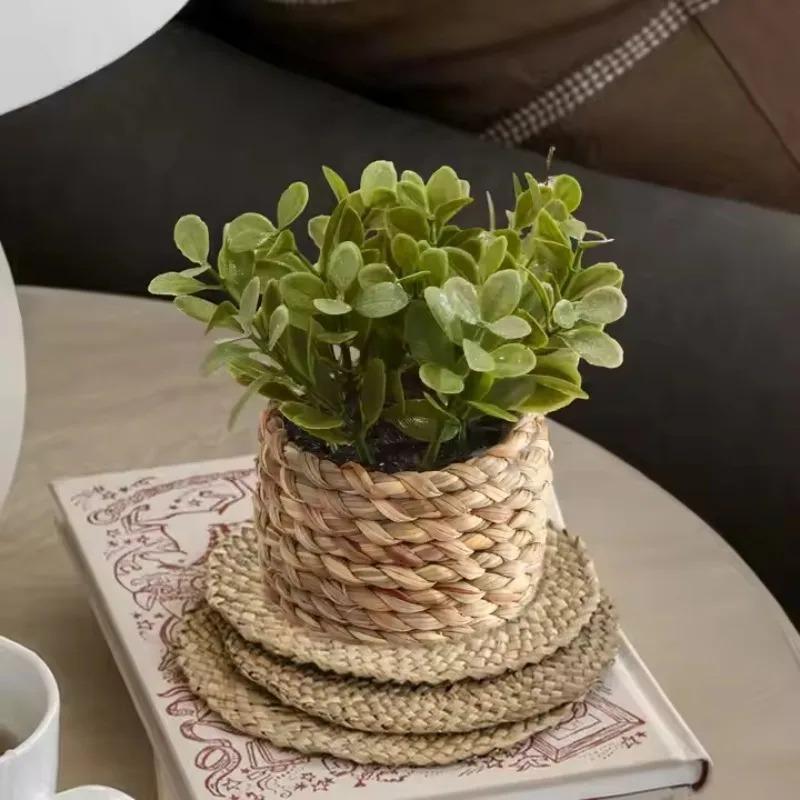 1Pc Potted Plant Small Fake Pl – Home Office Word recenzja i cena