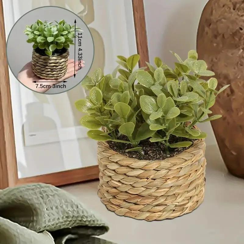1Pc Potted Plant Small Fake Pl – Home Office Word recenzja i cena