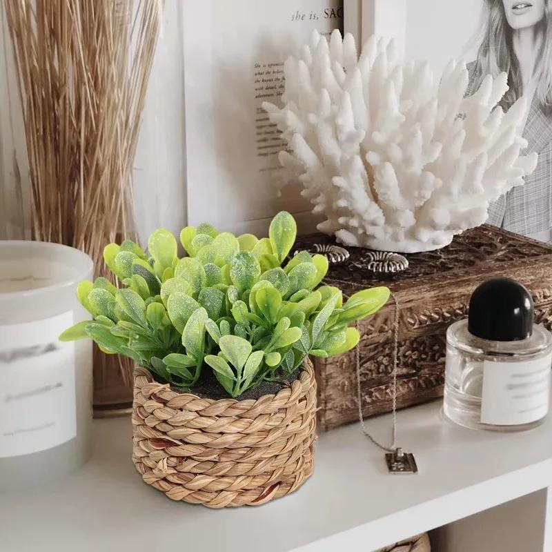 1Pc Potted Plant Small Fake Pl – Home Office Word recenzja i cena