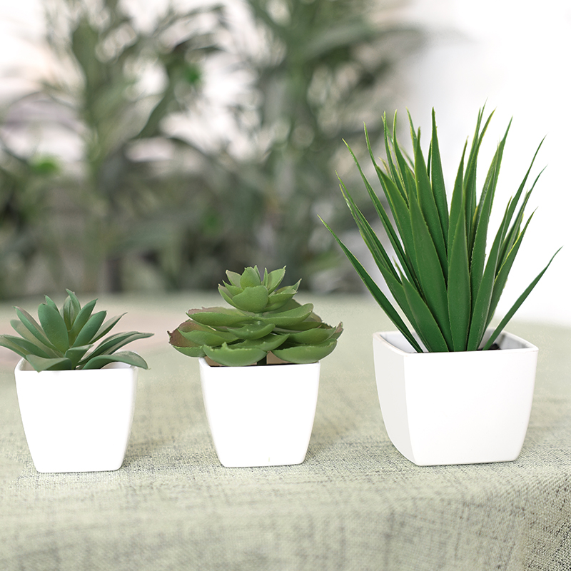 3PCS Artificial Evergreen Plan – Home Office Word recenzja i cena