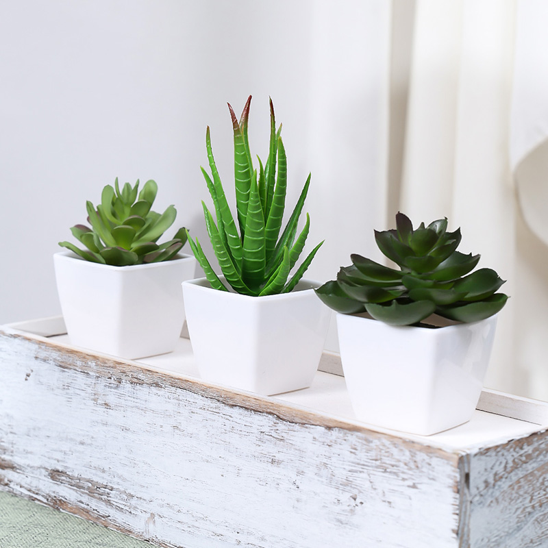 3PCS Artificial Evergreen Plan – Home Office Word recenzja i cena