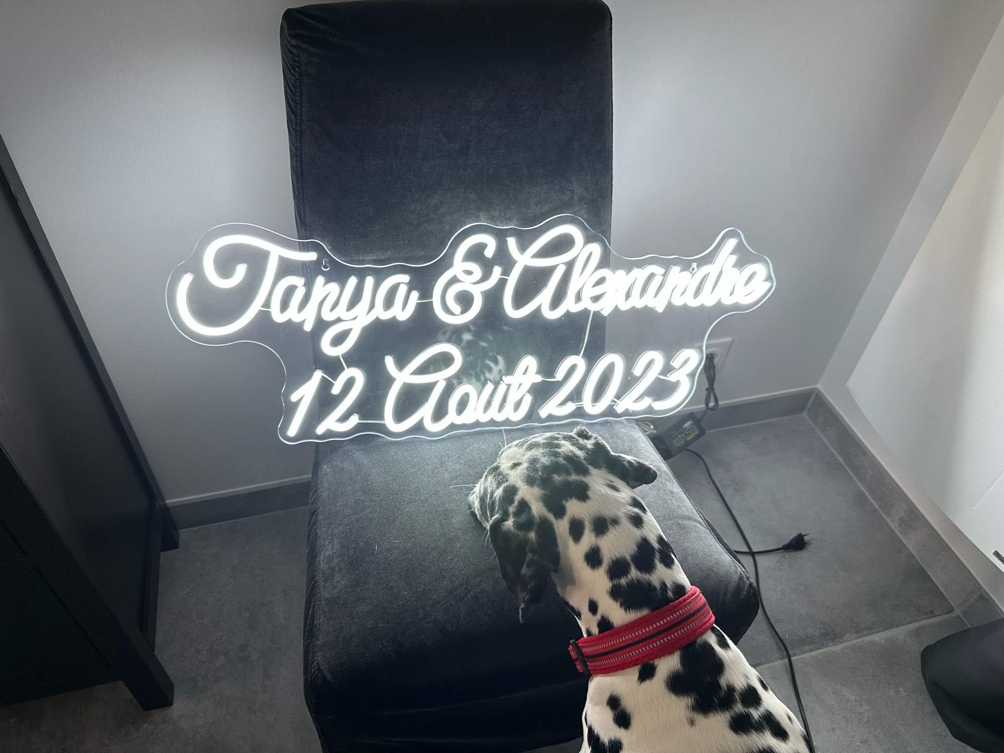 Custom Neon Sign LED Neon Ligh – Home Office Logo recenzja i cena